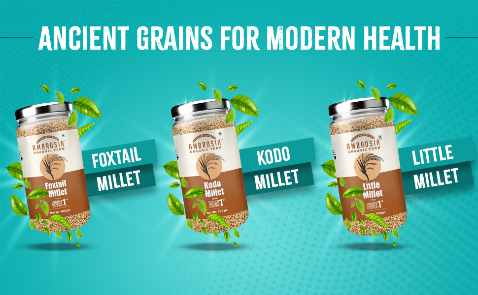 website banner ambrosia mobile